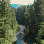 Luísa Gattai Instagram - @ Capilano Bridge