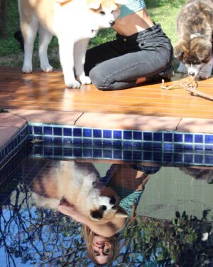 Luciana Paes Instagram - Quem inventou o cachorro esta de parabéns. @sami_ha_  nas fotos. Piscina,sol e os akitas kyoto e Tsuki. E sim, fotos no feed pra falar q estou mais pra loira. O loiro é de @gabijovine . Todo tratado e escovado por @je_hermenegildo