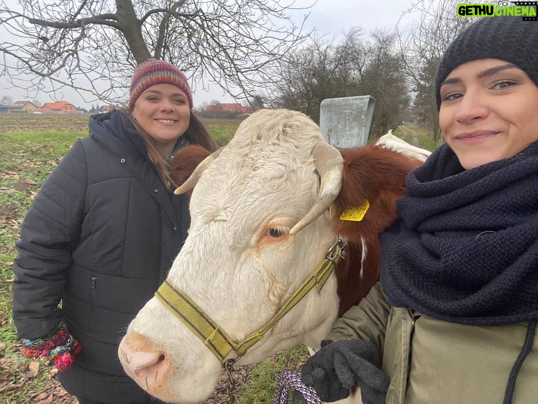 Lucie Polišenská - 14.7K Likes - @evabureshsalvatore A máme tady hádanku! Kolik 🐮 je na fotce? A teď se ukažte 😆