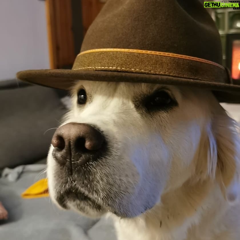Lucie Polišenská - 4.1K Likes - #goldenretriever #bublina #cepice Blíží se zima a Bublinka si vybírá, co jí bude nejvíc slušet 🥰🥰🥰🥰 je to prostě parádnica! 🤗