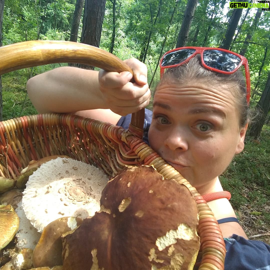 Lucie Polišenská - 11.2K Likes - Na to se dá říct jenom jedno slovo ROSTOU!!! Nejradši mám když pak jdu pyšně vesnicí a připadám si hrozně důležitě😂😂😆😆 houbičkyyyyy