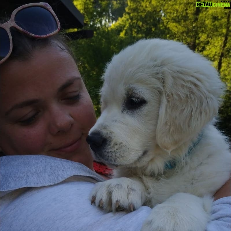 Lucie Polišenská - 5.7K Likes - #goldenretriever Taky vám ti pejskové tak rychle vyrostli?taková malinká bublinka byla ❤️❤️❤️