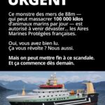 Lucie Lucas Instagram - 🚨Oui, vous avez bien lu. Ça vous révolte ? Nous aussi. Mais on peut mettre fin à ce scandale. Et ça commence dès demain. On se fixe jusqu’au 8 juin - journée mondiale de l’océan - pour arriver, étape par étape, à faire interdire ces destructeurs et toutes les méthodes de pêche destructrices dans les Aires Marines Protégées (AMP). Et nous avons une première étape concrète et stratégique dès demain. Et cela se passe en Bretagne. Pourquoi en Bretagne ? Parce que la Bretagne concentre un grand nombre d’aires marines protégées… ainsi qu’un grand nombre des pêches destructrices qui ravagent ces aires marines protégées. Et demain, le Conseil régional de Bretagne va adopter sa position sur la protection de l’océan. C’est un vote d’une haute importance. Les élus devront décider s’ils acceptent l’évidence : arrêter de détruire les zones qu’on appelle « protégées ». Les élus écologistes du Conseil régional ont déposé un vœu appellent le gouvernement à créer de « vraies » aires marines protégées en y interdisant les méthodes de pêche destructrices comme le chalutage. C’est ce vœu qui est voté demain. Ça ne paraît pas très ambitieux et pourtant, on en est là. ll faut se pincer pour y croire, on sait, mais c’est ainsi : en France, l’immense majorité des aires marines dites « protégées » (les « AMP »), ne le sont pas le moins du monde. Un bulldozer comme le Jan Maria, qui ravage les fonds marins, est parfaitement autorisé dans les AMP. C’est un véritable scandale. L’océan est le poumon de la planète, il absorbe un tiers de nos émissions de C02 et plus de 90% de nos excédents de chaleur. L’océan est de fait notre meilleur allié dans le combat que nous devons mener contre le dérèglement climatique. Nous devons le protéger. En commençant par protéger nos aires marines protégées en y interdisant le chalutage. C’est simple, c’est basique. COMMENT AGIR? 1. Interpellez le président de la région Bretagne @loig_cg en commentaire. 2. Rejoignez la coalition citoyenne pour l’océan (lien en BIO) Nous comptons sur vous. Claire et Lucie