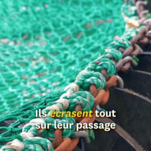 Lucie Lucas Instagram - 🚨Oui, vous avez bien lu. 
Ça vous révolte ? Nous aussi. 

Mais on peut mettre fin à ce scandale. Et ça commence dès demain. 

On se fixe jusqu’au 8 juin - journée mondiale de l’océan - pour arriver, étape par étape, à faire interdire ces destructeurs et toutes les méthodes de pêche destructrices dans les Aires Marines Protégées (AMP). 

Et nous avons une première étape concrète et stratégique dès demain. Et cela se passe en Bretagne. 

Pourquoi en Bretagne ? 

Parce que la Bretagne concentre un grand nombre d’aires marines protégées… ainsi qu’un grand nombre des pêches destructrices qui ravagent ces aires marines protégées. 

Et demain, le Conseil régional de Bretagne va adopter sa position sur la protection de l’océan. C’est un vote d’une haute importance. Les élus devront décider s’ils acceptent l’évidence : arrêter de détruire les zones qu’on appelle « protégées ». 

Les élus écologistes du Conseil régional ont déposé un vœu appellent le gouvernement à créer de « vraies » aires marines protégées en y interdisant les méthodes de pêche destructrices comme le chalutage. 

C’est ce vœu qui est voté demain. 

Ça ne paraît pas très ambitieux et pourtant, on en est là.

ll faut se pincer pour y croire, on sait, mais c’est ainsi : en France, l’immense majorité des aires marines dites « protégées » (les « AMP »), ne le sont pas le moins du monde. Un bulldozer comme le Jan Maria, qui ravage les fonds marins, est parfaitement autorisé dans les AMP. 

C’est un véritable scandale.

L’océan est le poumon de la planète, il absorbe un tiers de nos émissions de C02 et plus de 90% de nos excédents de chaleur. 

L’océan est de fait notre meilleur allié dans le combat que nous devons mener contre le dérèglement climatique.

Nous devons le protéger. En commençant par protéger nos aires marines protégées en y interdisant le chalutage. 

C’est simple, c’est basique. 

COMMENT AGIR? 

1. Interpellez le président de la région Bretagne @loig_cg en commentaire. 

2. Rejoignez la coalition citoyenne pour l’océan (lien en BIO)

Nous comptons sur vous.

Claire et Lucie