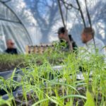 Lucie Lucas Instagram - Il y a quelques jours nous avons eu l'immense l’honneur et le plaisir gigantesque d’accueillir @jeanmartinfortier chez nous, à la @fermedelavillelambert . Il est venu découvrir notre projet et nous apporter son expertise inégalable 😊 Merci à lui pour ses conseils si précieux, ses encouragements si énergisants et sa bienveillance si généreuse 🙏 Il nous a conforté dans l’idée que même si le chemin est long, nous sommes sur la bonne voie et notre vision est juste. Merci pour tout le courage que tu as regonflé en nous Jean-Martin ! Et pour la fierté qui fleurie dans un coin de nos coeurs depuis ton passage et qui nous réchauffe après tous les sacrifices et toutes les difficultés qu'il a fallu affronter pour en arriver là. Merci aussi et encore à Jean-Martin et ses équipes de m’avoir invitée à prendre part à sa conférence sur les microfermes à l’ @academieduclimat à l'occasion de la sortie de son nouveau livre Microfermes 🙏 un débat vraiment passionnant sur les perspectives vertueuses d’une agriculture sur petite surface et sur l’importance d’une rénovation profonde de notre politique agricole ! Je vous mettrai plus de détails bientôt en story 😉 Des bisous à tous et bon week-end ! ❤️ #jeanmartinfortier #permaculture #microferme #biointensive