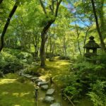 Lucie Rhéaume Instagram - L’une de mes découvertes coup de coeur de Kyoto.💌 Caché derrière la fameuse forêt de bambou, se cache non seulement un mini restaurant où nous avons pu déguster un repas traditionnel japonais 7 services tout simplement exceptionnel, mais aussi cette rivière absolument magique. Un must lors d’un passage à Kyoto!🦋