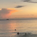 Lucie Rhéaume Instagram - Après 5 ans passés sur mon vision board, mon voyage dans l’une des destinations que j’ai le plus rêvé de faire se concrétise enfin: hello Philippines.🥹👋🏼 On commence en force sur l’île de 1,5km de long reconnnue mondialement pour sa plongée: Malapascua. La particularité de cet endroit: il s’agit du seul endroit au monde où il est possible de plonger et de voir de manière naturelle et 100% assurée les requins renards (Thresher Sharks), une espèce actuellement considérée vulnérable. Ceux-ci fréquentent toujours les mêmes endroits autour de l’île, qui représentent pour eux des « stations de nettoyage » où ils se font nettoyer par des petits poissons (ces espèces vivent en symbiose). Nous avons eu la chance de non seulement les voir de près, mais aussi d’observer un mâle et une femelle qui valsaient - ceux-ci se tiennent normalement à des profondeurs différentes donc il est rare de les voir réunis. Déjà complètement en amour avec cet endroit.🥹💌
