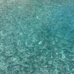 Luda Instagram - 🍋🌊🐚🌳🧢