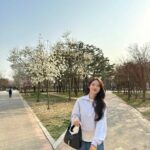 Luda Instagram - 벚꽃은 못 봤습니다 왜 없죠?