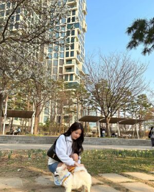 Luda Instagram - 벚꽃은 못 봤습니다 왜 없죠?