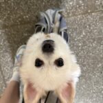 Luda Instagram - 벚꽃은 못 봤습니다 왜 없죠?