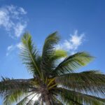 Ludivine Reding Instagram – Quelques clichés d’une semaine au soleil ☀️