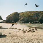 Ludivine Reding Instagram – voyage de rêve sur 🎞️