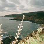 Ludivine Reding Instagram – voyage de rêve sur 🎞️