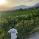 Ludivine Reding Instagram - Pleins d’aventures et de précieux souvenirs en 2023 🤍 (et un nez cassé en prime 🥲)