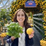 Ludovica Gargari Instagram - Ebbene sì, sono in una Limonaia Urbana, sopra i tetti di Roma perchè Pesto Barilla mi ha invitata a tenere 3 masterclass con il Pesto Barilla Basilico e Limone, cremoso, fresco e avvolgente, perfetto per le nostre cene estive! Per 2 persone 200g fusilloni 250g pesce spada 1/2 barattolo di  Pesto Barilla Basilico e Limone 2 limoni 1 pack di basilico (almeno 50g) 40g mandorle a lamelle Come prima cosa in un padellino versiamo olio evo e tostiamo il pangrattato fino a doratura; fuori fuoco ci aggiungiamo la scorza di limone e il basilico tritato. In un’altra padella scaldiamo olio evo, scottiamo il pesce spada tagliato a cubetti e sfumiamo con il succo di mezzo limone spremuto. A parte tostiamo le lamelle di mandorle. Cuociamo i fusilloni e li scoliamo in una ciotola, aggiungiamo il  Pesto Barilla Basilico e Limone e mescoliamo. Aggiungiamo il pesce e le lamelle di mandorle. Impiattiamo con il pane croccante aromatizzato sopra. @barillaitalia #ad #LimonaiaUrbanaRoma #IlGustodellEstateAmatodaTutti