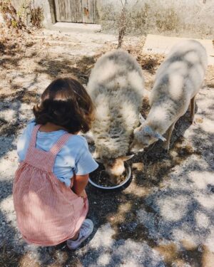 Luísa Sobral Instagram - Vim a casa por 3 dias. 

Estive fora uma semana mas tudo à minha volta parece ter mais um mês 🐑🍎👶🐓

#cenasdaquinta #luisasobral