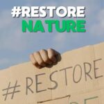 Luisa Neubauer Instagram - URGENT 🚨: we only have a few hours to save nature restoration law! Today members of the European Parliament are supposed to vote on one of the most important laws of the past 5 years: a law that would restore nature, protect biodiversity and help with climate breakdown. But in a last minute move, the conservatives of the @eppgroup are siding with the far right to REJECT the law and kill it completely 🤦🏼‍♀️ But we can still save #RestoreNature! Tag @eppgroup & @reneweurope in comments and tell them to #RestoreNature 🔥