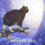 Luisa Rubino Instagram - adiós mi lokkkko 🧡