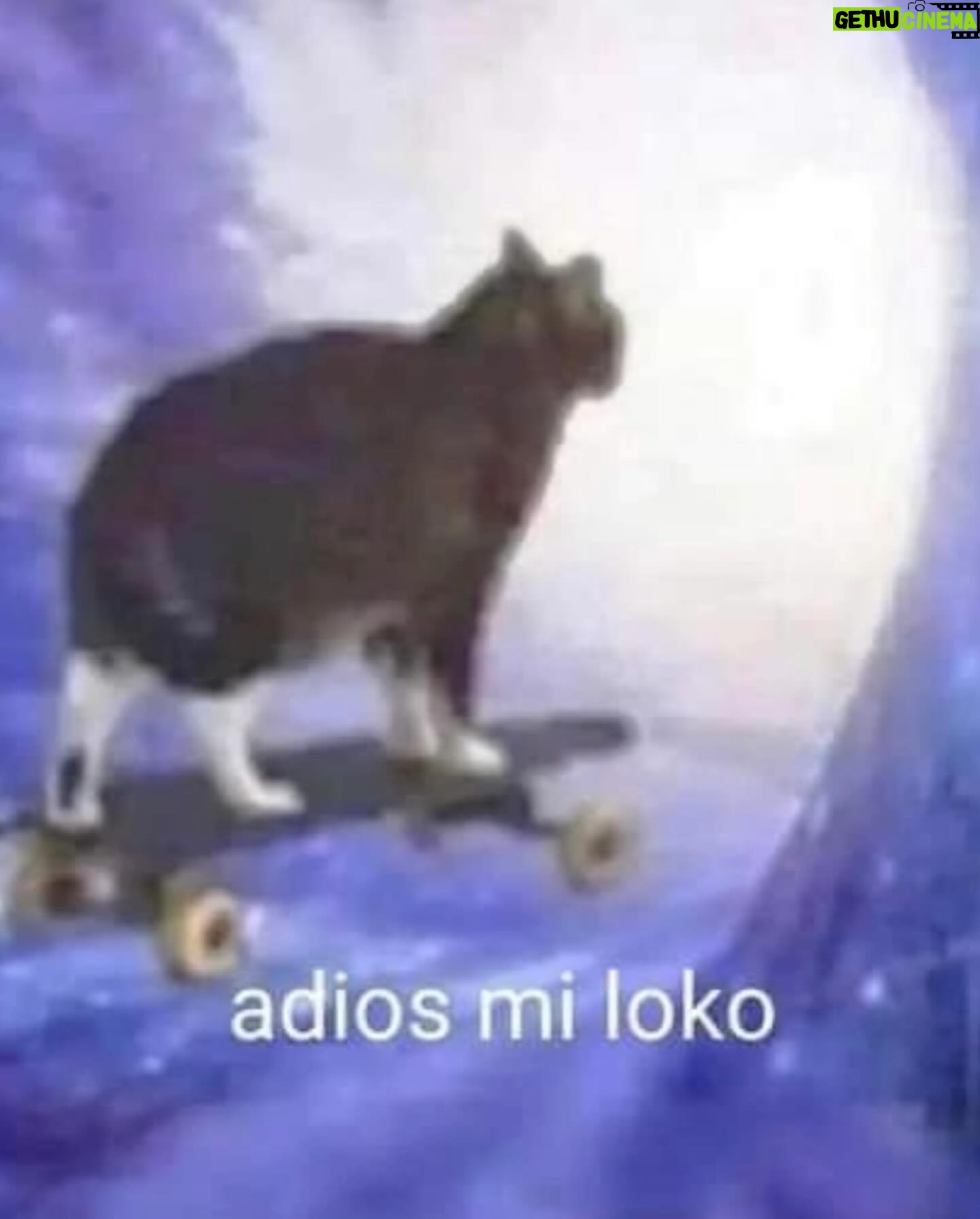 Luisa Rubino Instagram - adiós mi lokkkko 🧡