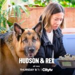 Luisa d'Oliveira Instagram - Get into the dark web on Hudson & Rex tonight 👀💻 8/7c Loved working on this!