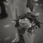 Luisa d'Oliveira Instagram - When everything just comes together 💐 There’s something so special about getting ready to be a bride that’s hard to explain. I didn’t anticipate it at all! The joy of it caught me by surprise. Something about walking a path that countless others have walked since the dawn of marriage, a preparation for the commitment to partnership. There’s no way any amount of beauty or weather or location could have outdone the gorgeousness of what we committed to that day…but the loveliness of it all still felt like a smile from heaven. Thank you to my friend @taniasyan who set me up with bridal pieces for my wedding. They couldn’t have been more perfect! She built her jewelry line @oliveandpiper from the ground up and is an all around business inspiration. So inspired by you Tania! If you’re getting married, do yourself a favour and check out @oliveandpiper. Amazing 📸 by @kristinecofskyphotography @theportraitsessions