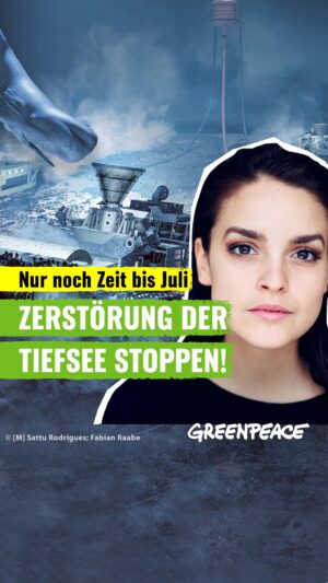 Luise Befort Instagram - (english below) 

Wir alle haben uns über das Go für ein UN-Meeresschutzabkommen gefreut. 🍾

Endlich rückt der Schutz von 30% der Meere einen Schritt weiter! Ein historischer Erfolg, den es zu feiern gilt - und jetzt wollen Unternehmen wie The Metals Company in die Tiefe der Meere vordringen und sie plündern - für Profite auf Kosten unserer Ozeane. 🤑🥲🐳

Der Boden der Tiefsee, der mehr als die Hälfte der Erdoberfläche bedeckt, ist der größte Lebensraum dieses Planeten und ein Ort mit großer Artenvielfalt. Ein wichtiger Teil sind Manganknollen. Sie sind Lebensraum für viele Tiere - einige kommen NUR dort vor. Die Knollen sind mehrere Millionen Jahre alt und enthalten Metalle und Erze wie Kobalt. Aus ihnen lassen sich Aspekte des erdgeschichtlichen Klimas ableiten. Genau diese Schätze wollen @metals.co und Co. jetzt entwenden. Eine Studie von @greenpeace zeigt, dass die Energie- & Mobilitätswende auch ohne Rohstoffe aus der Tiefsee möglich ist. 🫶🔋

Die Lizenzen für den Tiefseebergbau vergibt die Internationale Meeresbodenbehörde (ISA). Wissenschaftler:innen warnen vor den Folgen von Tiefseebergbau. Auch Deutschland hat sich für eine “Vorsorgende Pause” ausgesprochen. Tiefseebergbau muss aber dauerhaft verboten werden! Die Bundesregierung muss diese Position bei den anstehenden ISA-Verhandlungen im Juli stark vertreten, um die drohenden Gefahren für das Ökosystem abzuwenden! 🐳🦑⚠️

Hilf uns, den Raubbau zu stoppen, bevor es zu spät ist und unterzeichne die Petition (Link im Profil).👆

—-—-

The ground of the deep-sea is the largest habitat on this planet and a place of great biodiversity. An important part of it are manganese nodules. They are habitat for many creatures. @metals.co and Co. want to take away these treasures. The International Seabed Authority (ISA) issues licenses for deep-sea mining and could give the permission to do so from July this year. 
Help us stop this exploitation before it's too late and sign our petition (link in bio). 👆

📸 © (M) Sattu Rodrigues; Fabian Raabe

#deepseamining #stopdeepseamining #tiefseebergbau #derschwarm #theswarm