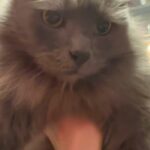 Lukerya Ilyashenko Instagram -