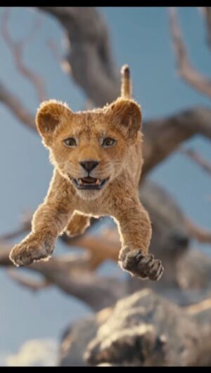 Lulu Wang Instagram - I know I’m biased because let’s face it, this might as well be a movie starring @chaunceywangjenkins but MUFASA is about SO much. It’s about the family we build vs the one we’re been born into. It’s about soft power vs hard… and what it takes to be a true leader. It’s about LOVE and @bandrybarry and his entire filmmaking family made this one with so much softness and love. It’s also such the adventure full of WONDER, so buckle up!