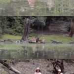 Luma de Oliveira Instagram - O que eu poderia querer mais do que estar em um rio da Amazônia como imaginei começar meu ano? Ter um guia indígena que virou parceiro! Ele percebeu que não era turismo mas sim, alguém que se sente também filha dessa floresta que tem a maior biodiversidade do mundo e a respeita profundamente por tudo que ela é. 🌳🛖🛶💚