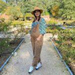 Luz Cipriota Instagram - Un día te enteras de que estas embarazada y al día siguiente sos una pelota. La más feliz de todas!. Entre rosas y al Sol entramos en la cuenta regresiva para conocer a Lorenzo.☀️ #8Meses #ComingSoon #Pregnant #Momtobe #Sunday #NoFilter #Madrid #rosaledaparquedeloeste #BabyOnBoard #Zento @serranodavid75