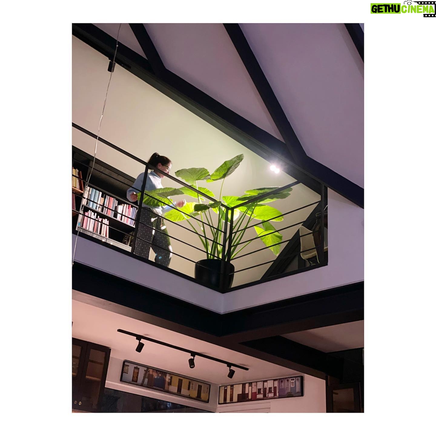 Luz Valdivieso - 4.8K Likes - He descubierto un don! Esta señora Eva había muerto y miren como está ahora! Ya no cabe en ningún lugar! Pero me siento tan orgullosa!! 🌱
Deslicen para ver! 😃