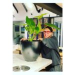 Luz Valdivieso Instagram - He descubierto un don! Esta señora Eva había muerto y miren como está ahora! Ya no cabe en ningún lugar! Pero me siento tan orgullosa!! 🌱 Deslicen para ver! 😃