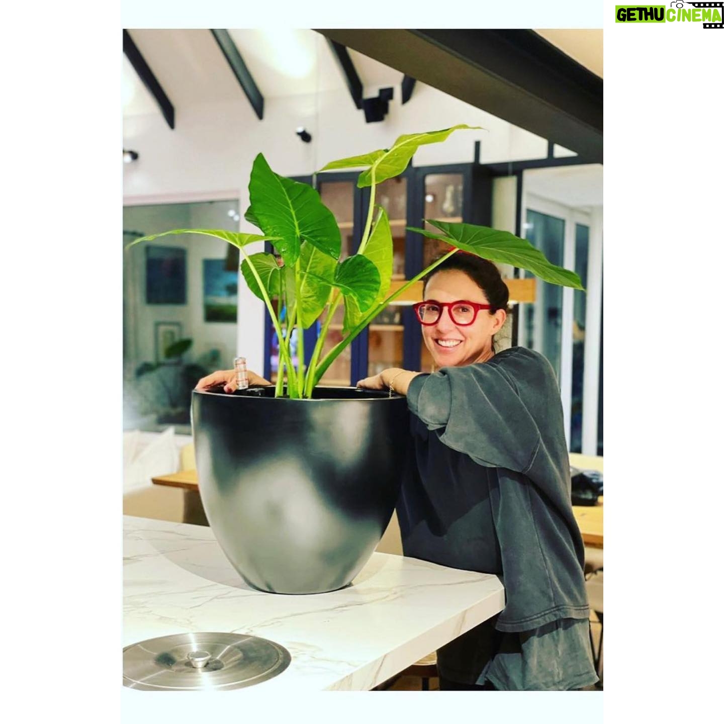 Luz Valdivieso - 4.8K Likes - He descubierto un don! Esta señora Eva había muerto y miren como está ahora! Ya no cabe en ningún lugar! Pero me siento tan orgullosa!! 🌱
Deslicen para ver! 😃
