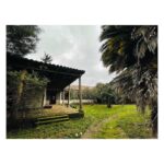 Luz Valdivieso Instagram – Pangal. 

La casa donde mi mamá vivió sus primeros años.. nos contaba tantas historias aquí! Todo el día a caballo.. no iba al colegio le enseñaban en la casa, carreras aterrada por la galería desde la cocina donde le contaban historias de miedo hasta donde estaban los “grandes”… me imagino con sus inseparables “la Carmen y mi hermana”… 
Por ahí deben andar la Carmen y la Luca…❤️❤️🙏🏻

@margarita.ovalle.l 
@trinipo