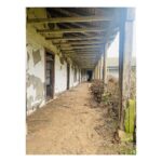 Luz Valdivieso Instagram – Pangal. 

La casa donde mi mamá vivió sus primeros años.. nos contaba tantas historias aquí! Todo el día a caballo.. no iba al colegio le enseñaban en la casa, carreras aterrada por la galería desde la cocina donde le contaban historias de miedo hasta donde estaban los “grandes”… me imagino con sus inseparables “la Carmen y mi hermana”… 
Por ahí deben andar la Carmen y la Luca…❤️❤️🙏🏻

@margarita.ovalle.l 
@trinipo