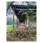 Luz Valdivieso Instagram – Pangal. 

La casa donde mi mamá vivió sus primeros años.. nos contaba tantas historias aquí! Todo el día a caballo.. no iba al colegio le enseñaban en la casa, carreras aterrada por la galería desde la cocina donde le contaban historias de miedo hasta donde estaban los “grandes”… me imagino con sus inseparables “la Carmen y mi hermana”… 
Por ahí deben andar la Carmen y la Luca…❤️❤️🙏🏻

@margarita.ovalle.l 
@trinipo