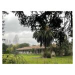 Luz Valdivieso Instagram – Pangal. 

La casa donde mi mamá vivió sus primeros años.. nos contaba tantas historias aquí! Todo el día a caballo.. no iba al colegio le enseñaban en la casa, carreras aterrada por la galería desde la cocina donde le contaban historias de miedo hasta donde estaban los “grandes”… me imagino con sus inseparables “la Carmen y mi hermana”… 
Por ahí deben andar la Carmen y la Luca…❤️❤️🙏🏻

@margarita.ovalle.l 
@trinipo