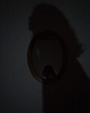 Lydia Maria Makrides Instagram - everyday ghost stories. 🌑