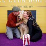Lydia Hearst Instagram – There is no love like the love of an Otterhound. Zoltar is such a wonderful dog and a perfect representation of the breed; he truly makes our lives and our family complete. ❤️