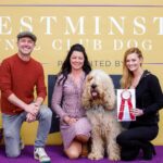 Lydia Hearst Instagram – We are beyond thrilled and proud of our good boy for taking home the prize for Best of Opposite Sex BOS 🏅

It was a beautiful day in queens at the Billie Jean King tennis center. @westminsterkennelclub is a conformation competition for purebred dogs and is a place where rare breeds, like the #Otterhound can truly shine. If you’ve never heard of this breed, there’s an even greater chance that you have never ever seen one; sadly, the Otterhound becomes more rare every year and is considered the most at risk dogs of being “forgotten” and disappearing completely, and we are grateful for this opportunity to showcase our dog and the breed itself. 

Even if you don’t know anything about dog shows, it’s easy to get caught up in the excitement of it all when you see it in person. Everybody in the dog world wants to be there, and it’s a chance to be amongst your peers and go head-to-head with your greatest competition.