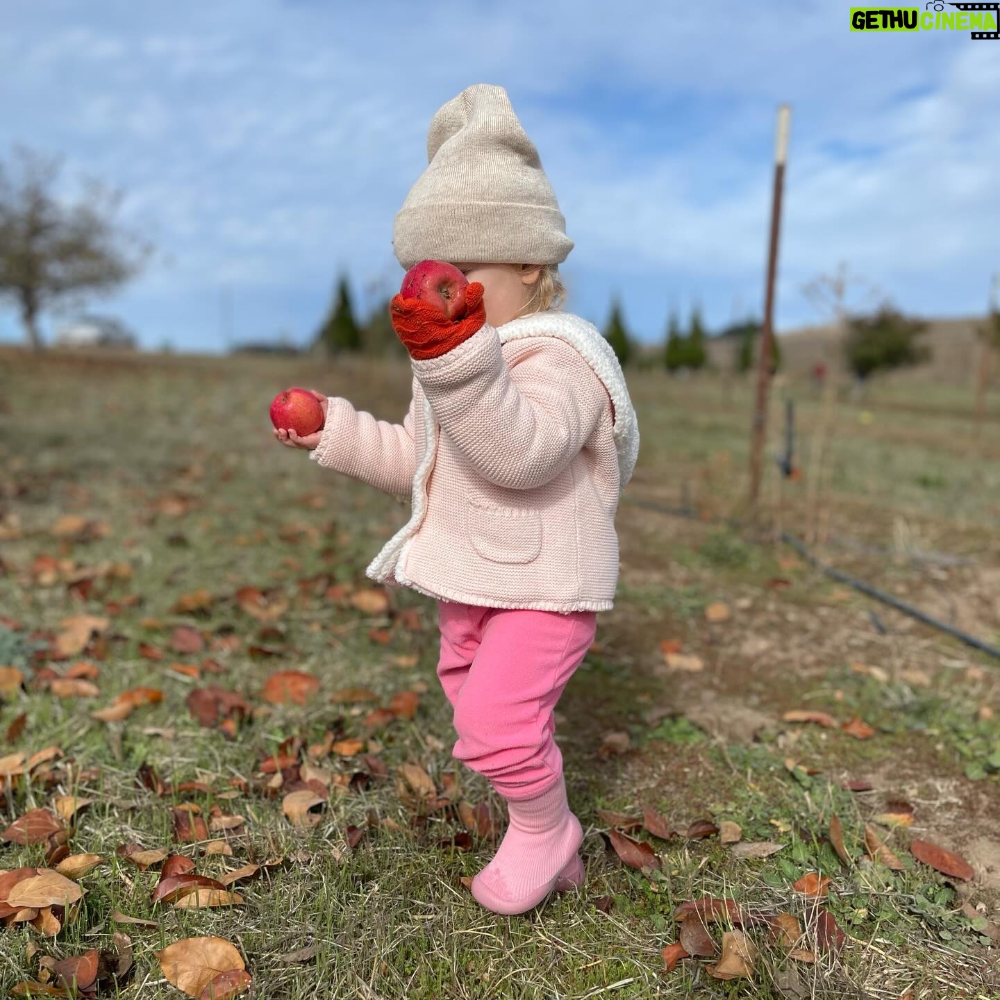 Lydia Hearst - 3 Likes - Apple picking and goats ♥️