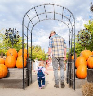 Lydia Hearst Instagram - Oh my gourd! 🎃