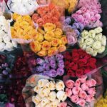 Lydia Night Instagram – i feel so basic posting this BUT LOOK HOW PRETTY!!!!!!!