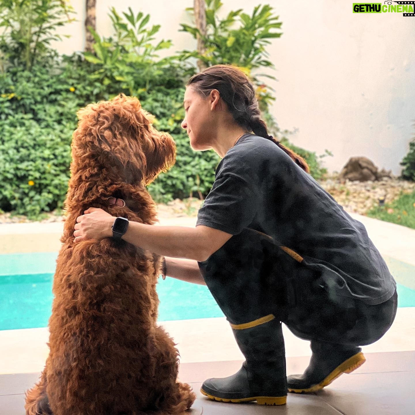 Lynda Thomas Instagram - Esta fotografia la tomó mi compañero hace unos días cuando Olivia y yo estábamos distraídas en una de nuestras tantas conversaciones que cada mañana compartimos 😊 Mi niña y yo acostumbramos a levantarnos a las 6 de la mañana, y cuando no salimos a caminar, ella se queda sentadita frente al jardín observando a los pájaros mientras yo medito o hago estiramientos. Desde que tengo uso de razón, he tenido animales alrededor mío, perros, gatos, ratones, ratas, tortugas, víboras, lagartijas, hamsters, cuyos y uno que otro ser humano 😜 Imagino que aquellos que han tenido la suerte de crecer de esta manera, me entenderán cuando digo que mi mascota es más que eso. Parte de mi terapia cotidiana, maestros de vida, cómplices incondicionales y sobre todo, la mejor manera de reconciliarnos con este planeta. Y tú, que mascota tienes? #pets #life #love #grateful #lyndathomasoficial