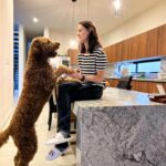 Lynda Thomas Instagram - Cuando Olivia llegó a mi vida, era muy pequeñita y ya venía enferma. Han sido casi tres años de visitas al veterinario, emergencias y malas noticias, sin embargo, ella no deja de enseñarme que estar vivo hoy, es más que suficiente. Y es que ahora que hemos descubierto que tengo una enfermedad que tarde o temprano me pasará la factura, comienzo a comprender que el arribo de Olivia no fué una casualidad. Porque aunque ella no sabe que tiene cancer y tampoco sabe que yo tengo esclerosis sistémica, intuye que nuestras vidas han cambiado. Por eso, cuando me ve a los ojos, es como si quisiera explicarme que este viaje siempre ha sido una moneda al aire pero al menos hoy, estamos aquí para seguir agradeciendo que aún hay tiempo. Tiempo para jugar, para bailar, para descubrir cosas que ayer no conocíamos , para abrazar a quienes más amamos y reírnos sin pensar que nos espera mañana. Tiempo para apreciar las pequeñas cosas y dejar ir lo que no es importante. Feliz día para todos los perritos del mundo. #doggies #petlovers #lyndathomasoficial #diamundialdelperro