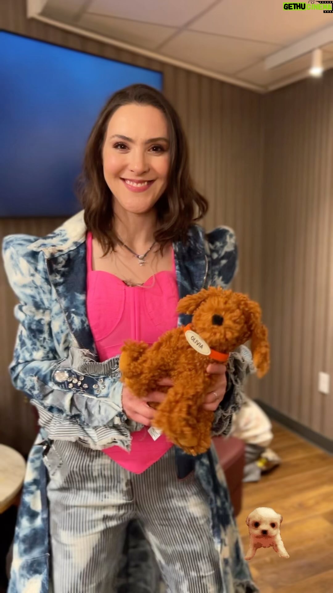 Lynda Thomas - 4.8K Likes - Mil gracias! ☺️🐶