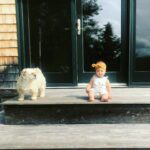 Lyndsy Fonseca Instagram - Romi:2005-2021. She’s been with me through it all. Starting at 19. I was a baby. But she was my baby at just 8 weeks. We traveled to so many places. She was my best friend. My companion during so many new hotels. New jobs. New states. New trailers. She was with me every step of the way. Always quiet when we were rolling on set, and always charming the crew. She was teaching me how to be a mother. How to give love unconditionally and selflessly. She was tough as nails. She treed a bear! True story. She played hard with big dogs. Not a lap dog. She was independent and self assured. Her favorite was east coast autumn weather. Chilly days at the beach with low tide, that’s when she’d hop like a bunny. She loved people. And people loved her. Wasn’t a fan of Greta during her pulling hair faze. But even then she learned. And they eventually became great pals. She’d look up at me while Greta would walk her on leash and I knew she was humoring Greta. Allowing the chaos of it all. Obsessed with table scraps and any treat. Wasn’t a fan of hot days. Until the end. Her last few days the sun was calling her name. She was searching for the other side. Wanting to be alone and bask in the light in our backyard. She stopped wanting treats. She didn’t have the energy anymore. She told me with her eyes that she was ready. My sweet girl. I’ll forever be grateful of the adventures we took. The joy she gave me. The laughter. Today I feel an emptiness I can’t imagine will ever go away. This sadness is deeper than I expected. But I know time will heal. Noah reminded me that to honor her we must remember to feel the wet sand under our feet and take the long walks like we did with her and feel the breeze just like she reminded us to do in her life. Live every moment in its fullest. I love you Romi. Thank you for being my everything for 16 wonderful years. She died in our arms in a sunny spot in our yard with a vet who helped her fall asleep peacefully. She looked in my eyes and we said goodbye. See you on the other side sweet girl.