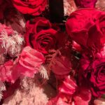 Lynn Collins Instagram - #happyvalentinesday belated … cast got the flu so we have been laying low but it was a week of love and friendship leading up to it for sure! 🌹🌹🌹🌹🌹🌹🌹🌹🌹