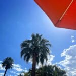 Lynn Collins Instagram - @thetwist.palmsprings THANK YOU for helping me #pregame for this birthday 💕🧡💕 The hospitality and chill vibes were a sweet balm to my soul 🩵 🩶 🩵 🩶 🩵 🩶 🩵 🩶🩵 Thank you @hilovetravel for the super cool #crossbodybag 🩶 #palmsprings #poolside #stars #palms @vionicshoes #happybirthday #pink #desert #desertlife @vans